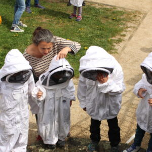 Atelier initiation à l'apiculture